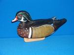 Keeled Wood Duck Drake-001